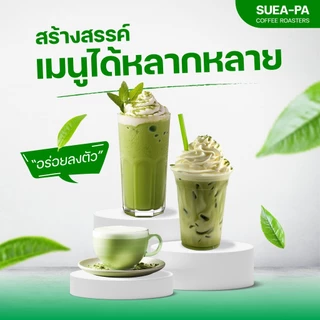 ชาเขียวสูตรพรีเมียม เชียงใหม่ เกรด A หอมเข้มกลมกล่อม