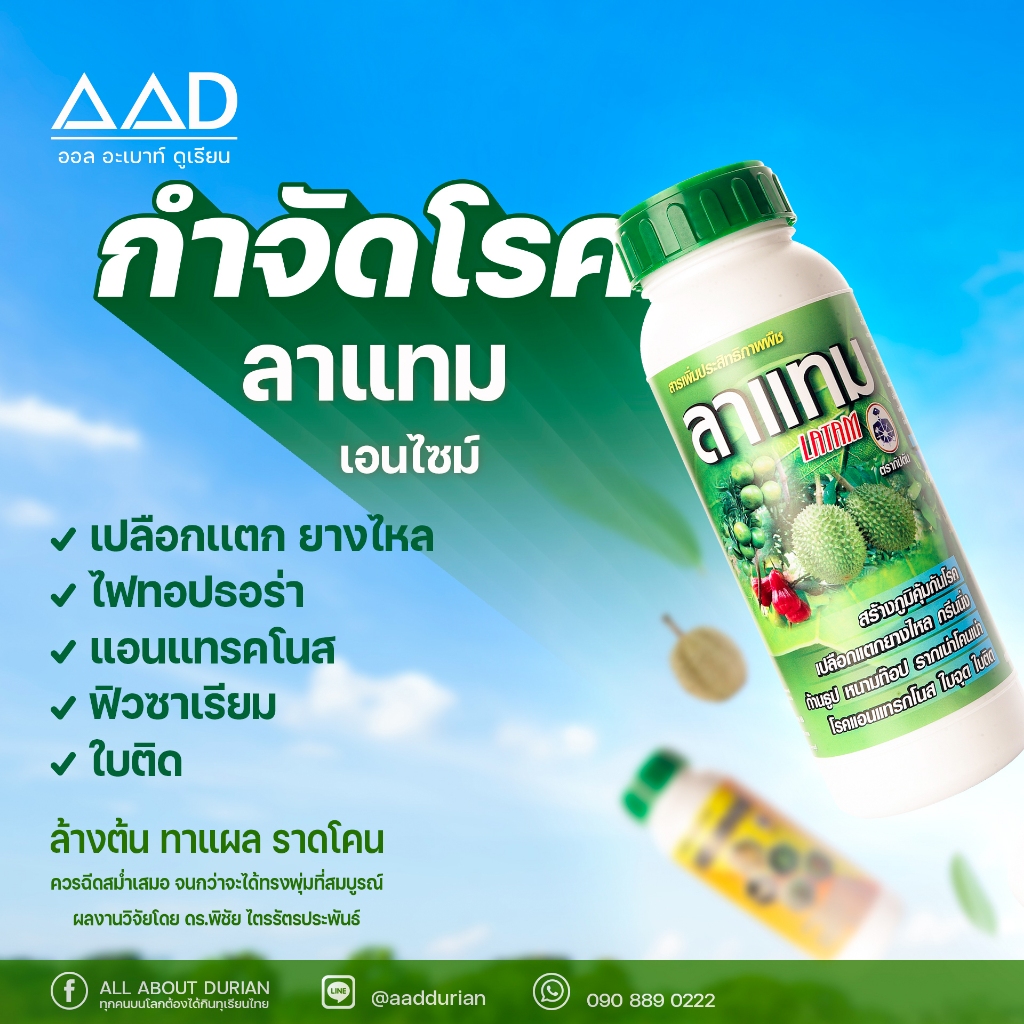 ลาแทม (เอนไซม์) ขนาด 1 ลิตร