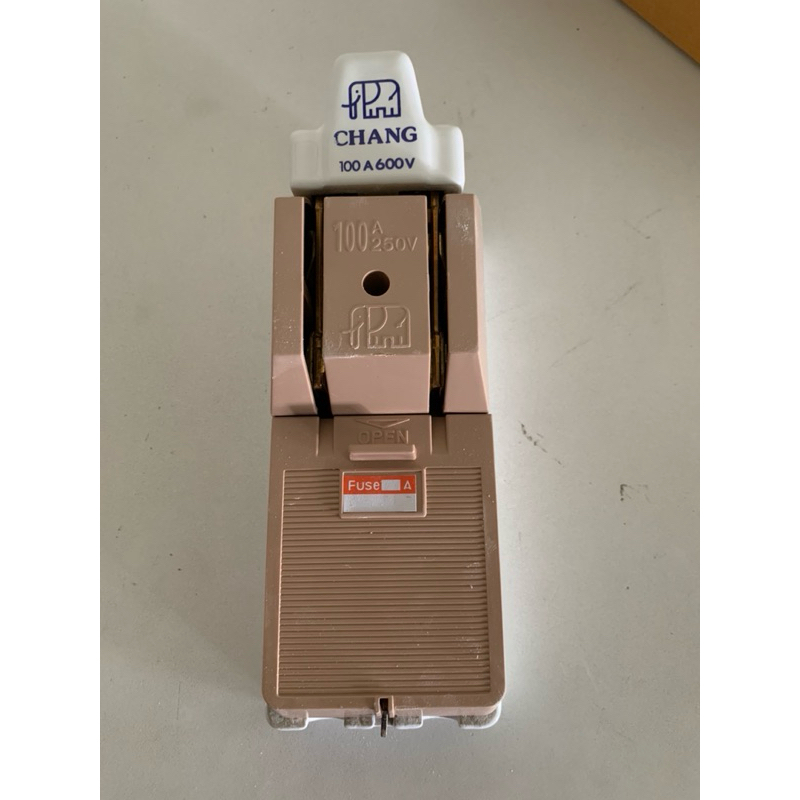 คัทเอ้าท์ คัทเอาท์ สะพานไฟ 2P100A 250V ตรา ช้าง Chang