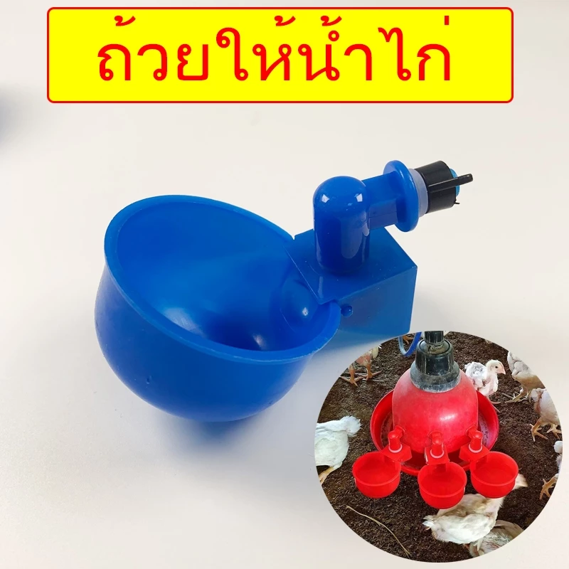 แพ็ค6ชิ้น💥ถ้วยให้น้ำไก่อัตโนมัติ น้ำเต็มถ้วยตัดเอง ถ้วยน้ำไก่ นิปเปิ้ลให้น้ำไก่