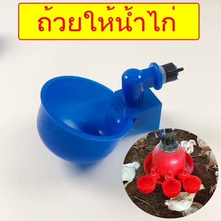 แพ็ค6ชิ้น💥ถ้วยให้น้ำไก่อัตโนมัติ​ น้ำเต็มถ้วยตัดเอง ถ้วยน้ำไก่ นิปเปิ้ลให้น้ำไก่