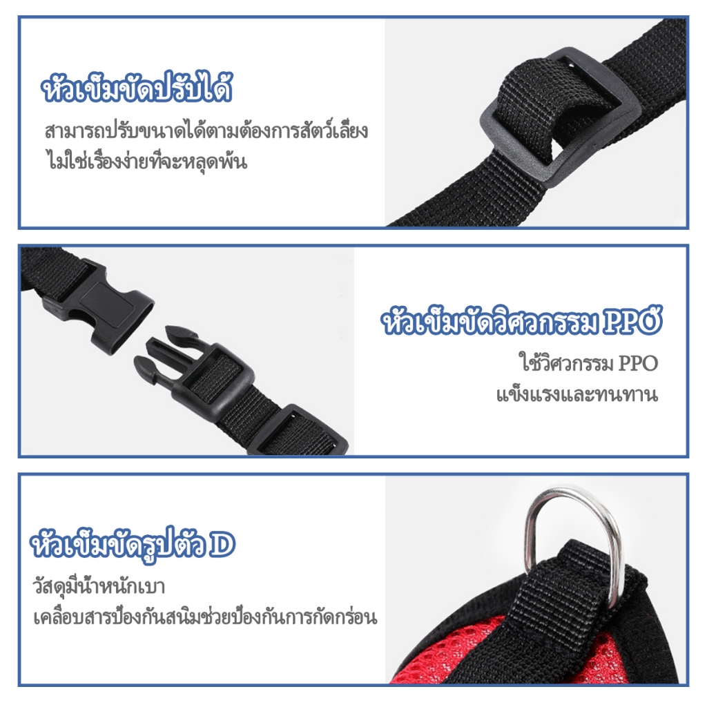 รูปภาพ 5