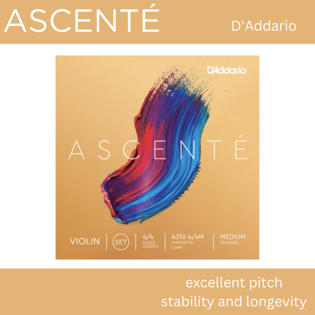 ชุดสายไวโอลิน D’Addario รุ่น ASCENTÉ 4/4 (D' Addario Ascente)