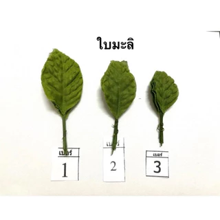 ใบมะลิ ใบมะลิผ้า ใบมะลิปลอม(1 ห่อมี 100.ใบ)