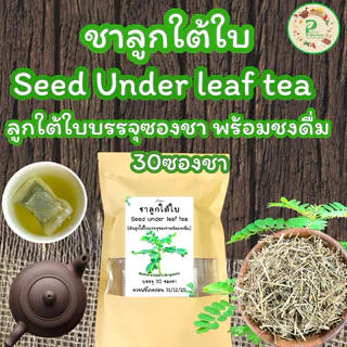 ชาลูกใต้ใบ บรรจุ 30 ซองชา Seed under leaf Tea เครื่องดื่มสมุนไพรชนิดชงดื่มแบบซองชา ชาลูกใต้ใบรสชาติดี ดื่มง่าย ไม่ขม