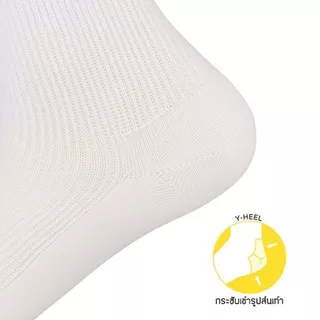 PALLY ถุงเท้านักเรียนพาวลี่ข้อยาวขาวล้วนลอนเล็ก แบบ BASIC พรีเมี่ยม nylon มีขนาดใหญ่พิเศษ 1 คู่