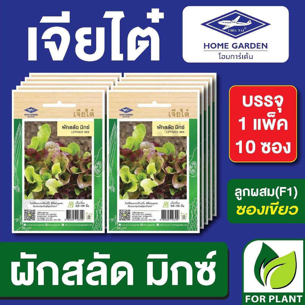 เมล็ดพันธุ์ ผักซอง ผักสลัด มิ๊กซ์ ตราเจียไต๋ บรรจุแพคล่ะ 10 ซอง ราคา 180 บาท