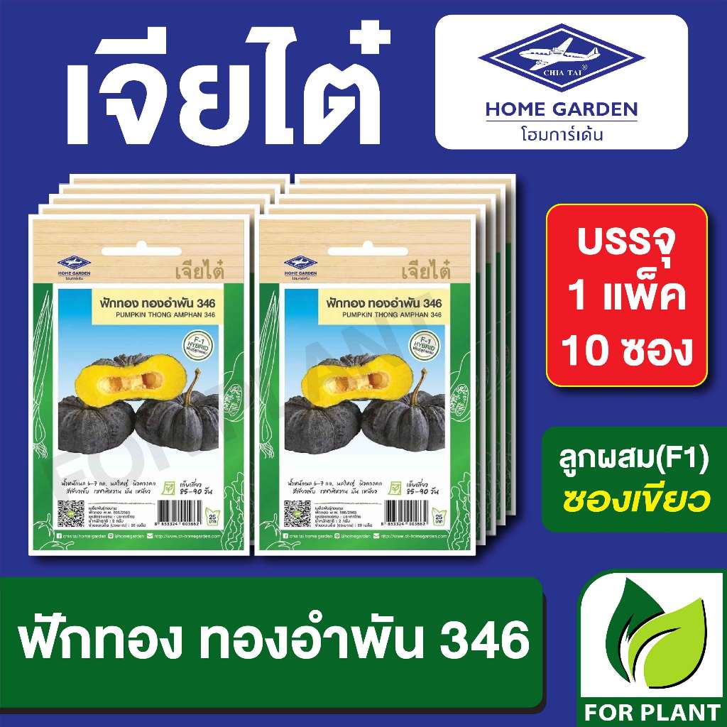 เมล็ดพันธุ์ ผักซอง ฟักทอง ทองอำพัน 346 ตราเจียไต๋ บรรจุแพคล่ะ 10 ซอง ราคา 180 บาท