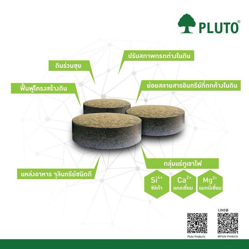 พลูโต ไบโอกรีน ขนาด 2.5 กรัม 10 เม็ด Pluto Biogreen ราคา ถูกที่สุด ดีลบีเคเค แกลเลอรีภาพที่ 2