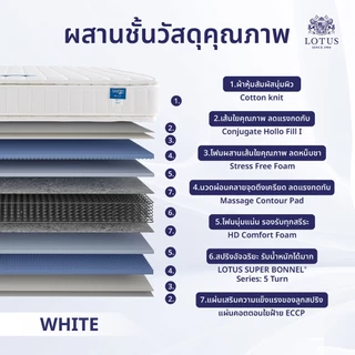 LOTUS รุ่น Precise I ที่นอนลดอาการปวดหลัง สลายแรงกดทับ เหมาะสำหรับคนรักสุขภาพ