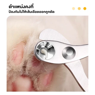 Winky Wink กรรไกรตัดเล็บ สําหรับสัตว์เลี้ยง สุนัข แมว กระต่าย