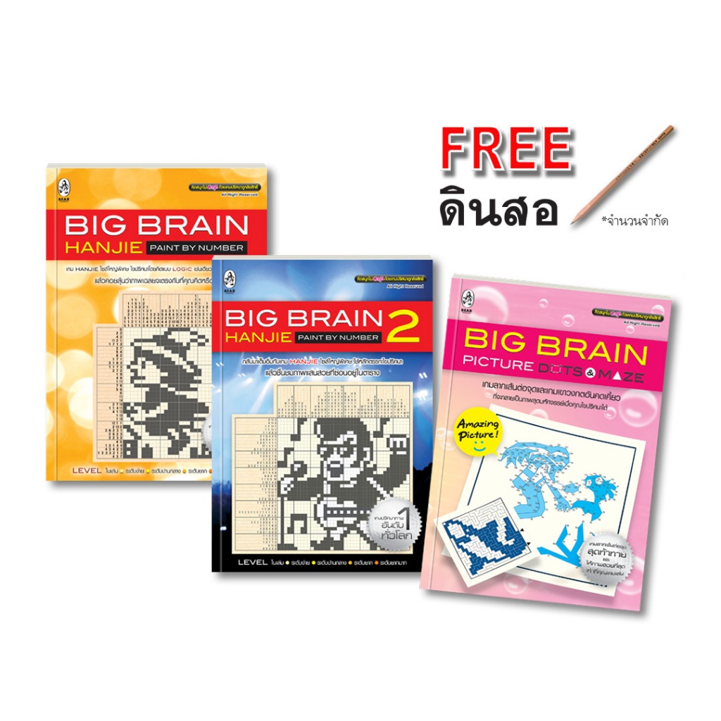 เกมปริศนา ชุด Big Brain 3 เล่ม ราคาพิเศษ ป้องกันอัลไซเมอร์ ฝึกสมอง