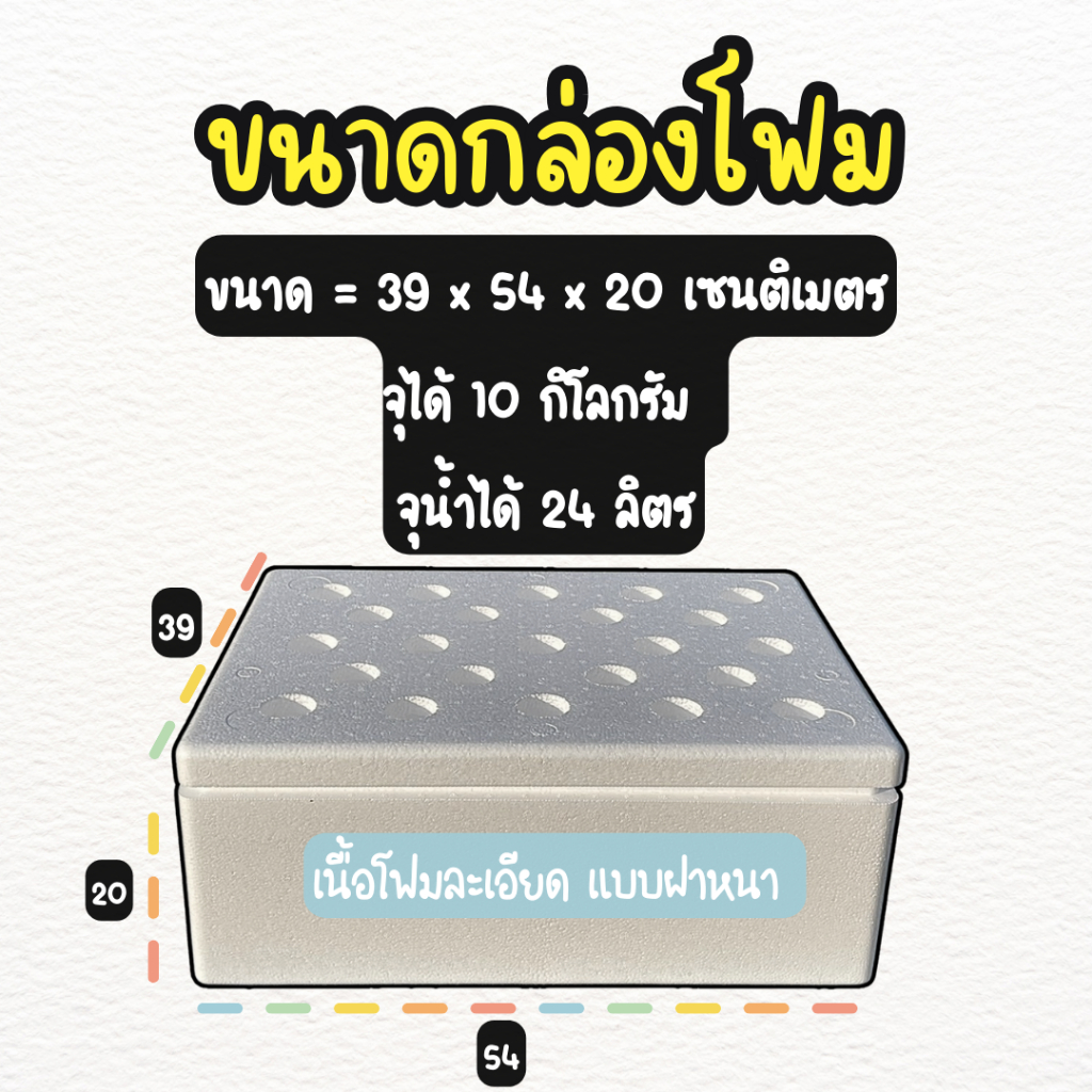 กล่องโฟม กล่องปลูกผัก พร้อมเจาะรู กล่องโฟมปลูกผักไฮโดรโปนิกส์ (**ชุด 4 ใบ**) รูปที่ 4