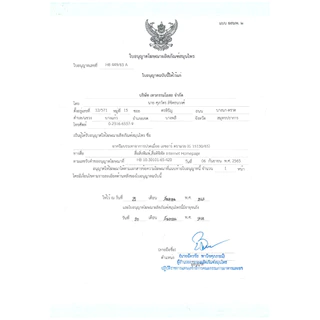 MUAY มวย ครีมยาบรรเทาปวด ตรามวย (หลอด 100 กรัม)
