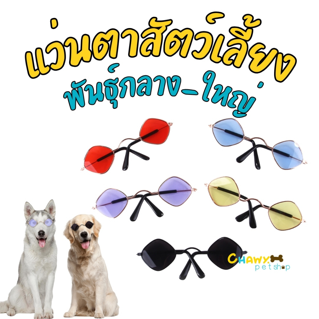 แว่นตาหมา แว่นตาสุนัข พร๊อพสัตว์เลี้ยง พร๊อพหมา แว่นตาสัตว์เลี้ยง แว่นตา