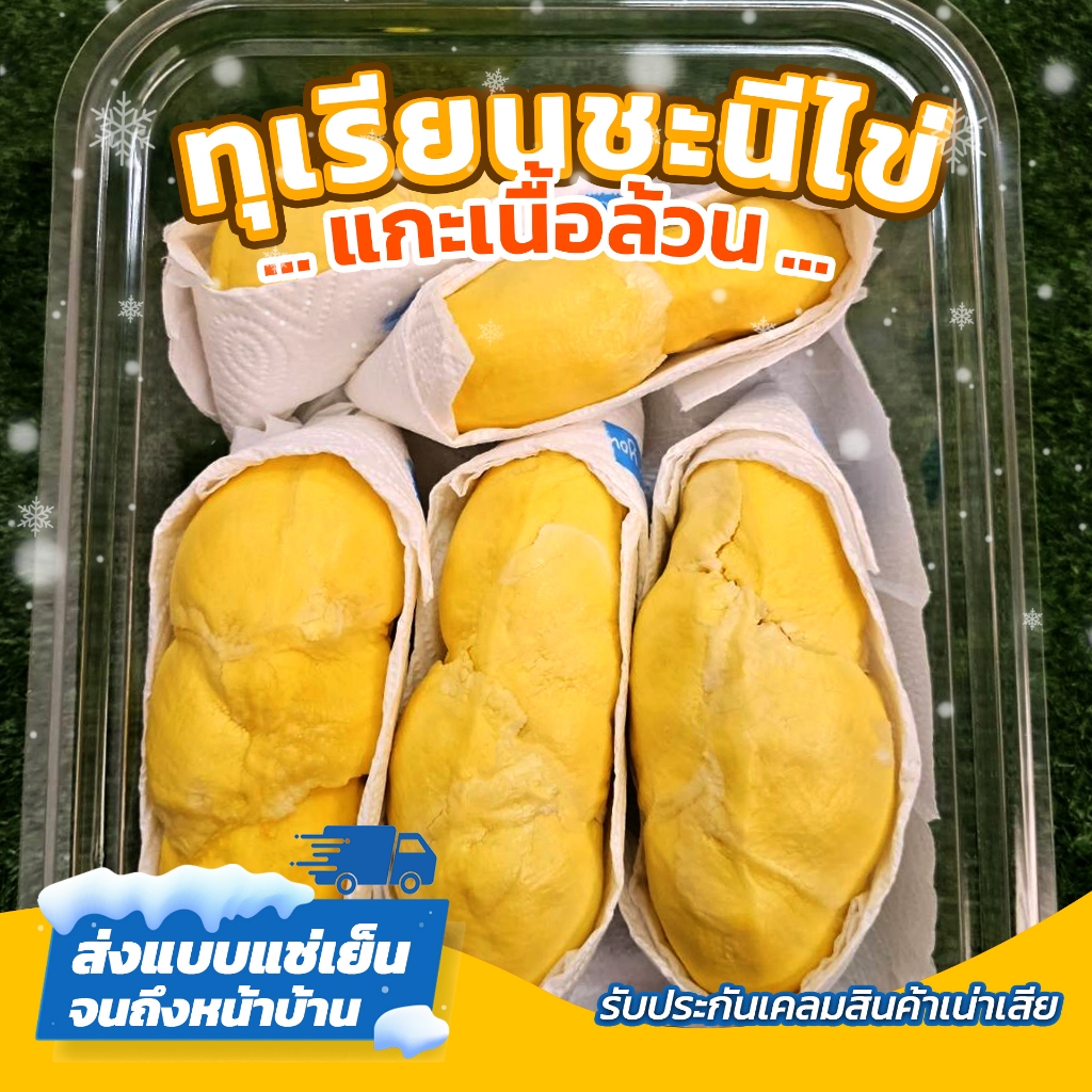 ทุเรียนชะนีไข่แกะเนื้อล้วนสวนจันทบุรีของแท้