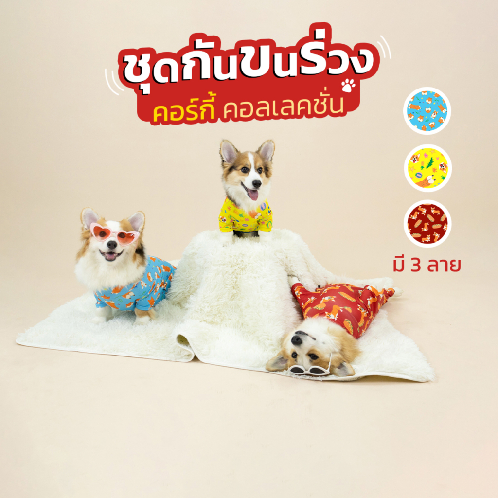 ชุดกันขนร่วง ชุดเก็บขน สำหรับ Corgi กันขนร่วงคอร์กี้ | CLAWSET.BKK