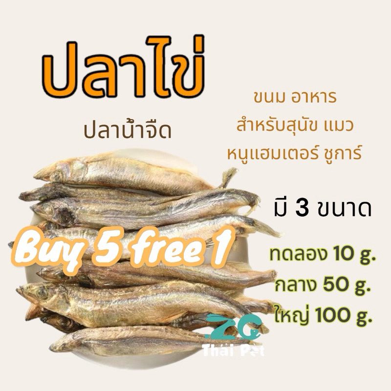 [ZC PET] ซื้อ 5 แถม 1 **ปลาไข่ ปลาน้ำจืด// อาหาร ขนมทานเล่น สำหรับสุนัข แมว หนูแฮมเตอร์ สัตว์ฟันแทะสามารถทานได้