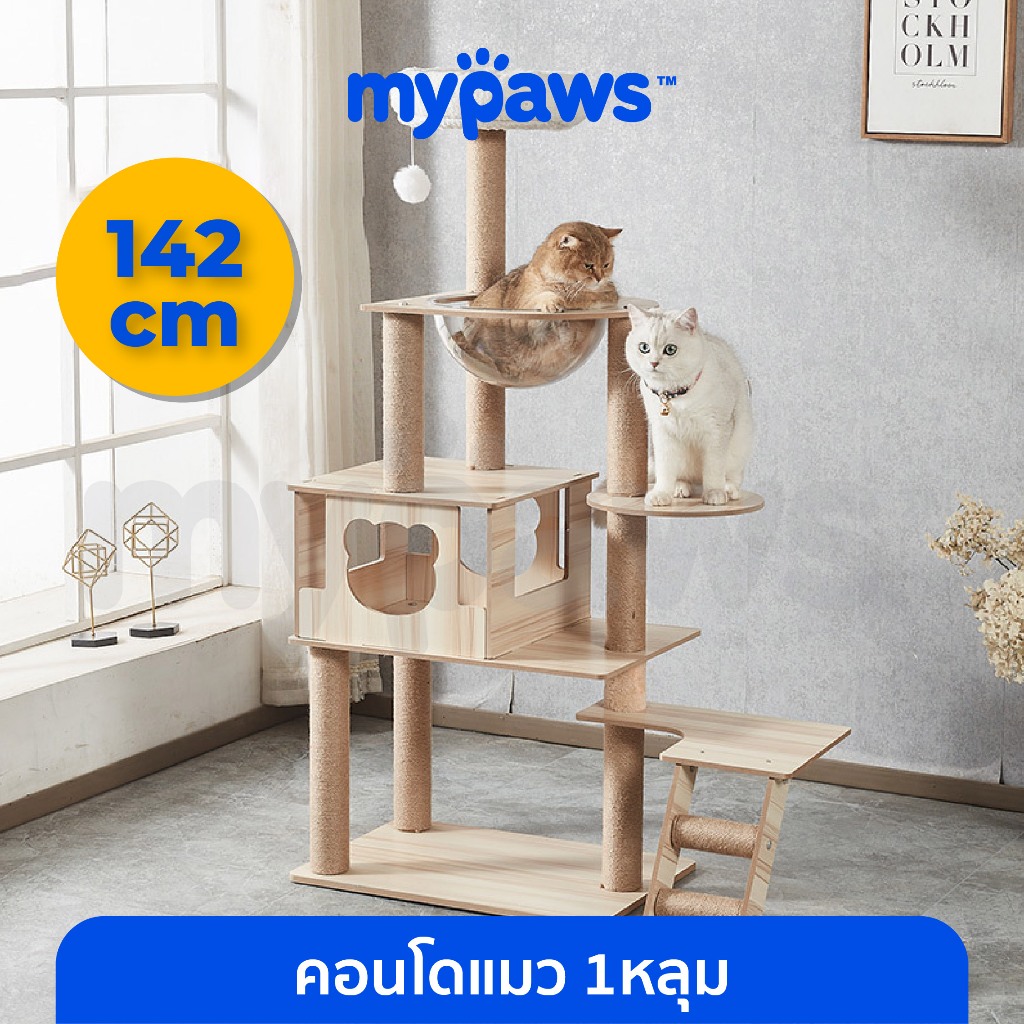 [ MYP18NV]My Paws คอนโดแมวไม้ หลุมอวกาศอะคริลิค 1 หลุม สูง 142 ซม.