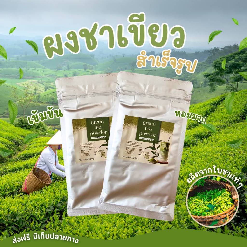 ผงชาเขียวสำเร็จรูป (พร้อมส่ง)ขนาด 250 กรัม ผงชาไทย100% ผงชาไทยสามารถละลายน้ำร้อนได้เลย #ชาเขียว #ใบชาเขีย #ผงชาสำเร็จรูป - รูปที่ 3