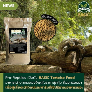 Pro -Reptiles​ อาหารเต่าบก สูตร Basic 5, 10 กิโลกรัม เม็ดใหญ่ สำหรับเต่าโต กินจุ