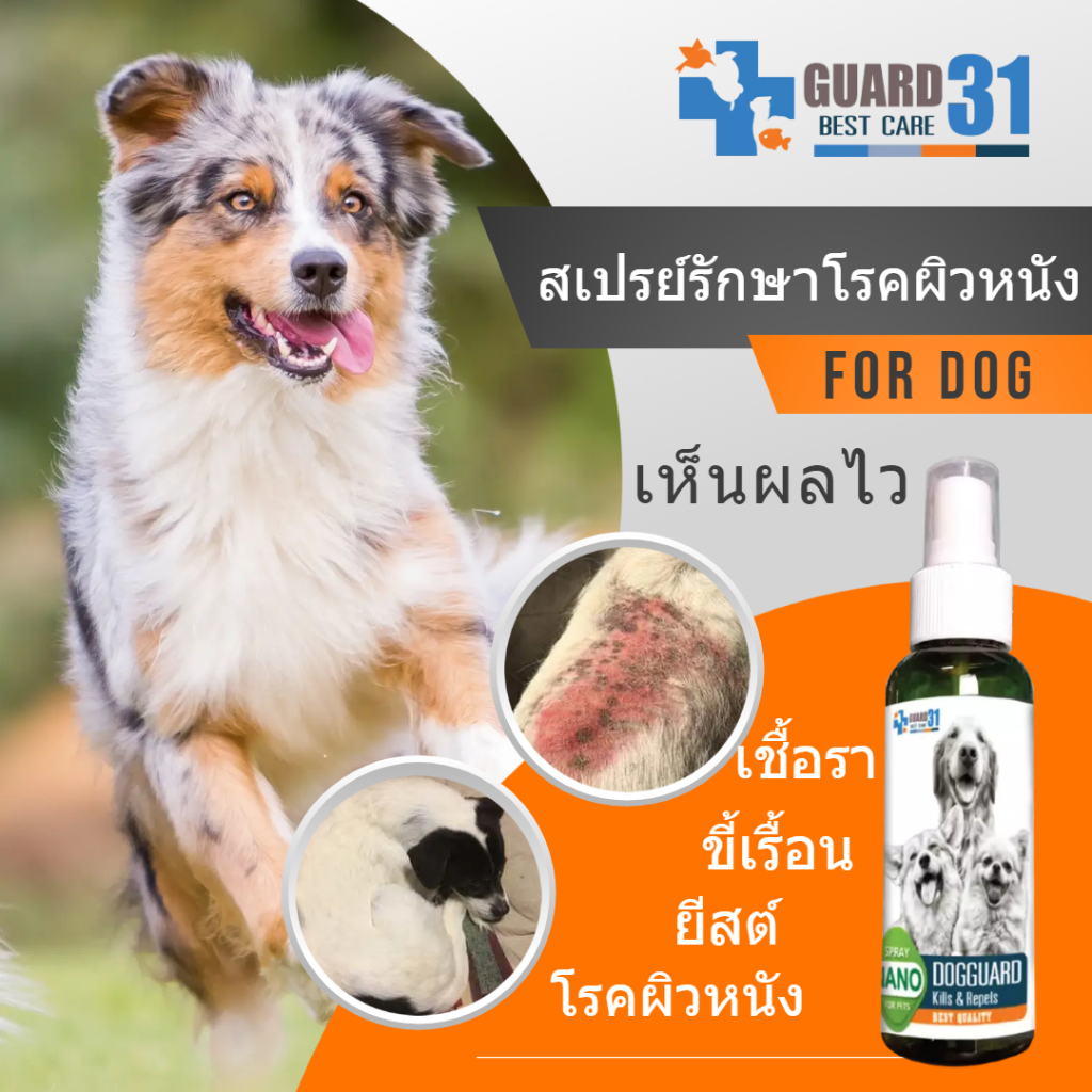 สเปรย์สมุนไพรGuard31 สำหรสุนัข ขจัดเชื้อรา ยีสต์ สุนัขคัน ขนหลุดร่วง ปลอดภัยเลียตัวได้ 100ml.