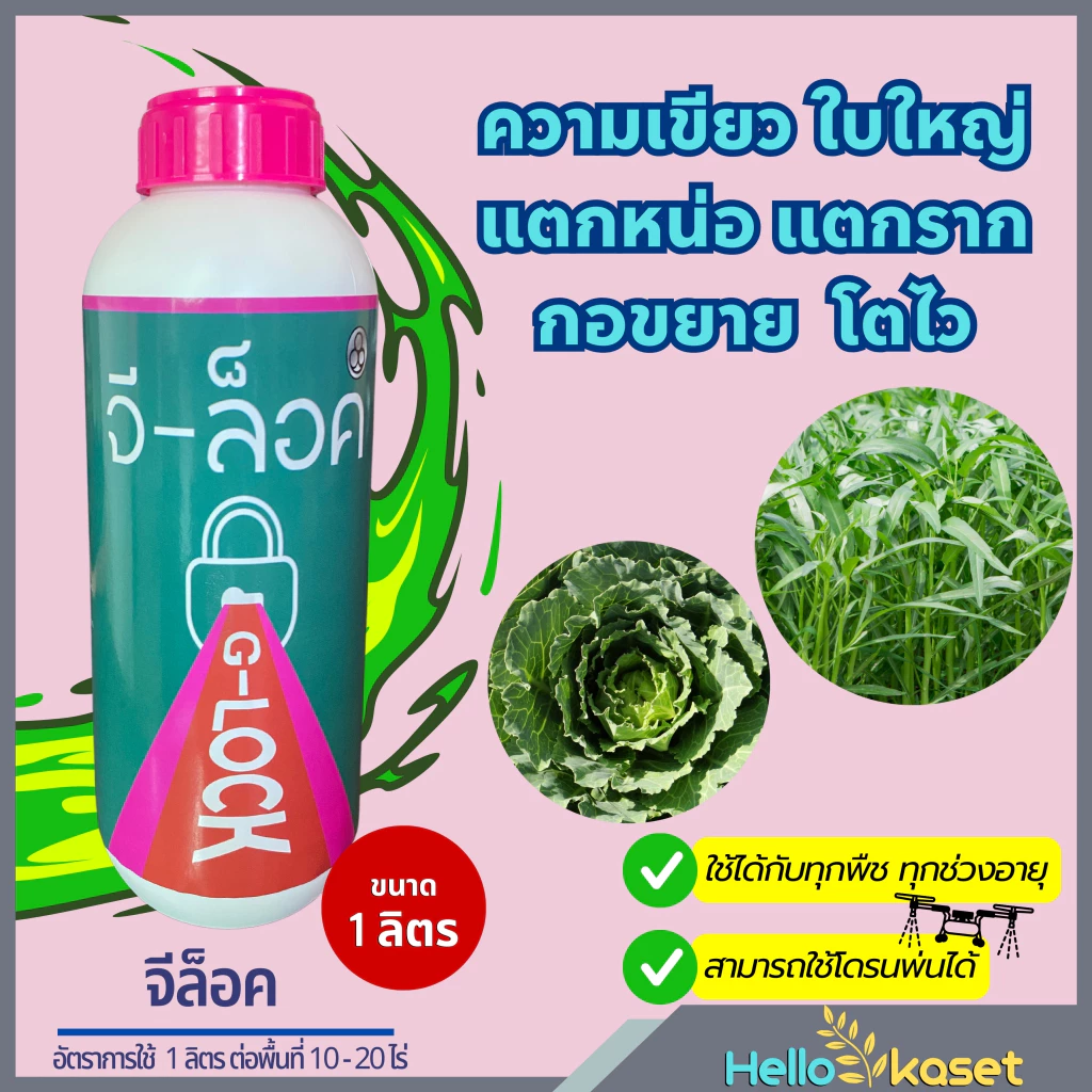 ฮอร์โมน เร่งใบเขียว เร่งแตกยอด จีล็อค ขนาด 1 ลิตร แพ็คเกจใหม่ เจริญเติบโต ช่วยการสร้างอาหาร