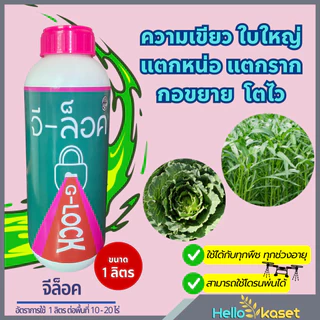 ฮอร์โมน เร่งใบเขียว เร่งแตกยอด จีล็อค ขนาด 1 ลิตร แพ็คเกจใหม่ เจริญเติบโต ช่วยการสร้างอาหาร