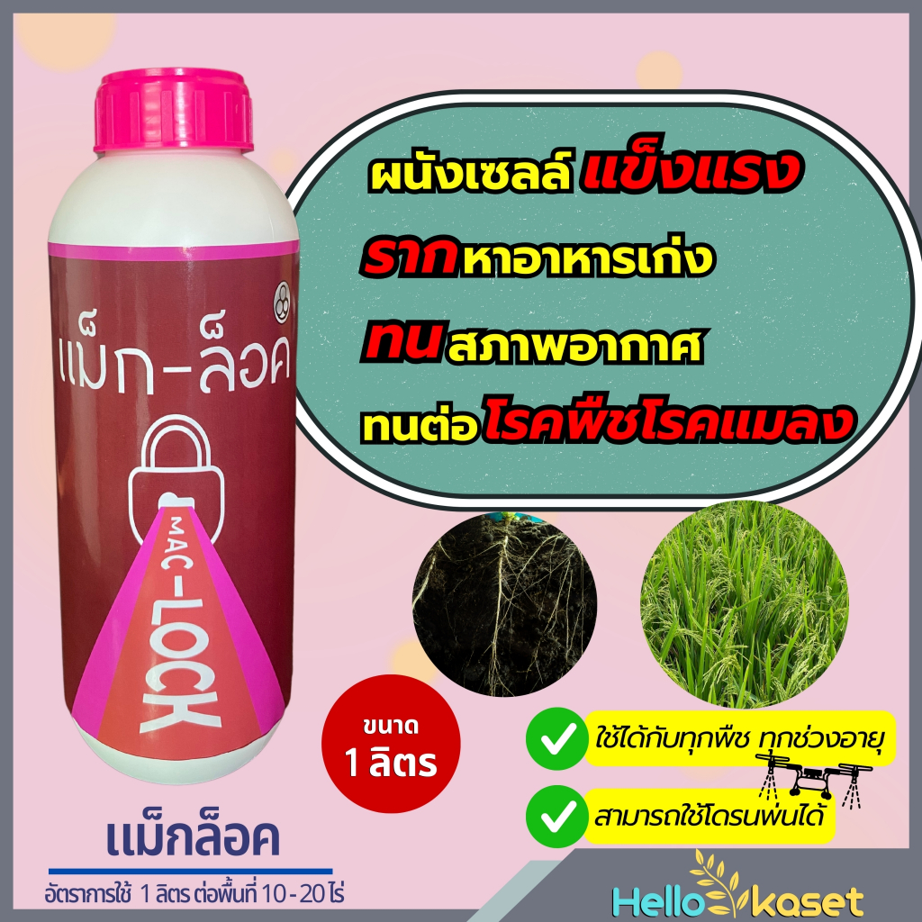 ฮอร์โมน เร่งราก ป้องกันเมล็ดลีบ แม็คล็อค ขนาด 1 ลิตร ช่วยในการผสมเกสร ผสมเกสรได้ดี เพิ่มน้ำหนัก