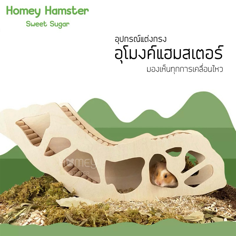 Homey Hamster บ้านหลบ อุโมงค์แฮมสเตอร์ บันได Niteangel Sweet Sugar กล่องขุด จักร ชั้นลอย ขนมเลีย h1 