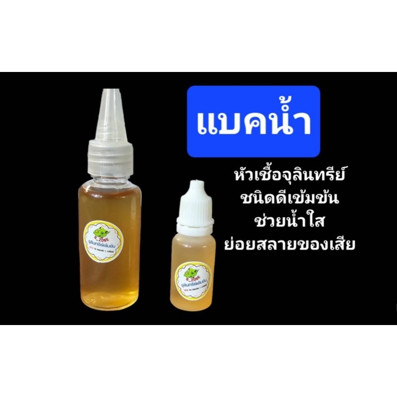 Bacpro แบคน้ำหัวเชื้อ จุลินทรีย์น้ำกำจัดตะไคร้น้ำ ลดตะไคร้น้ำ ย่อยสลายของเสียตู้ไม้น้ำตู้ปลา