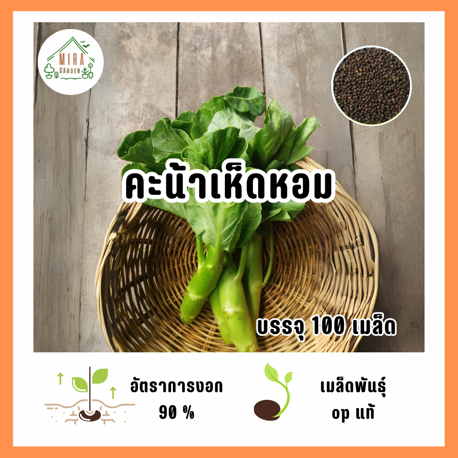 เมล็ดพันธุ์ คะน้าเห็ดหอม บรรจุ 100 เมล็ด