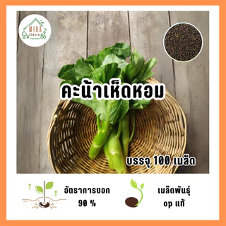 เมล็ดพันธุ์ คะน้าเห็ดหอม บรรจุ 100 เมล็ด