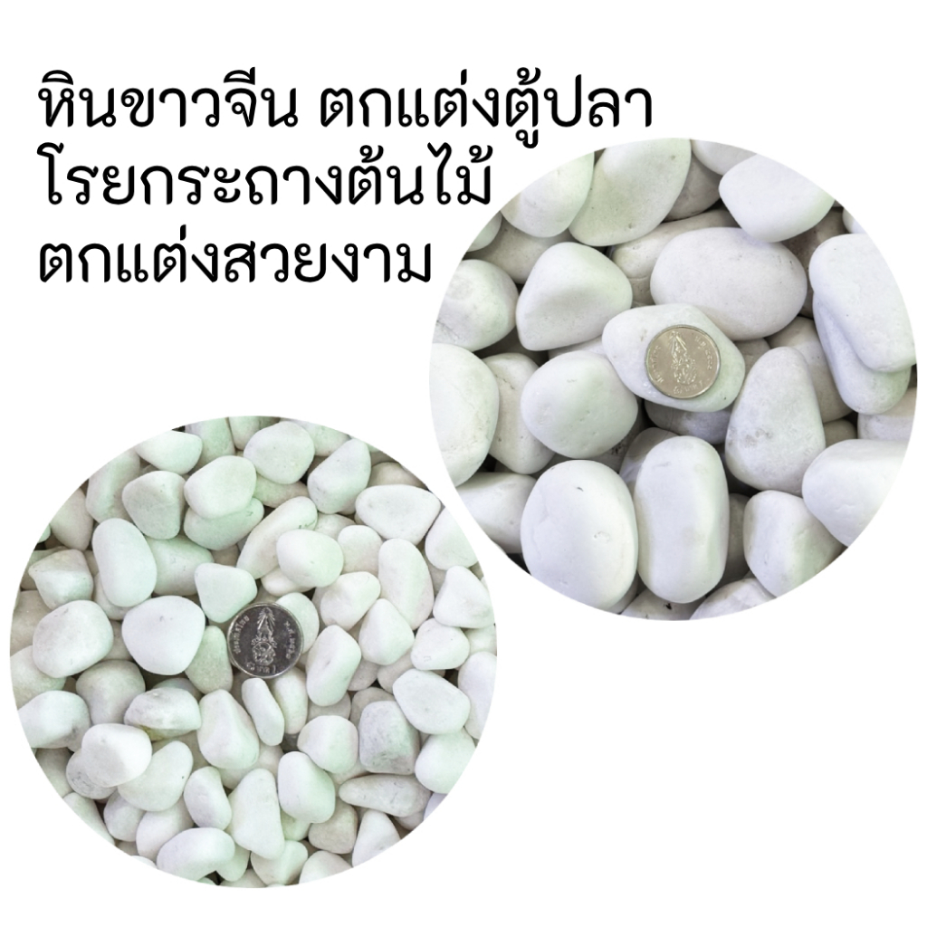 หินขาวขัด ขาวจีน ตกแต่งตู้ปลา ตกแต่งโรยกระถางต้นไม้สวยงาม กิโลละ 40บาท