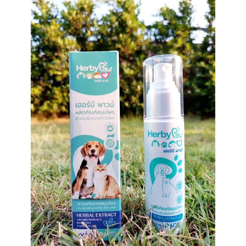 สเปรย์สมุนไพร 100% เฮอร์บี พาวน์ Herby Pawรักษาโรคผิวหนัง ต้านจุลลินทรีย์ เชื้อรา ยีสต์ ใช้ได้ทั้งหมาแมว 50ml.