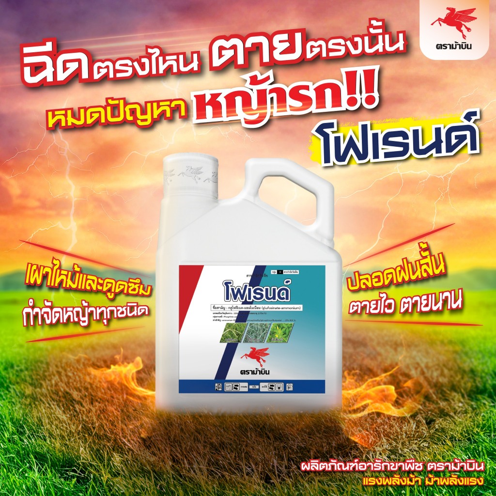 (ยกลัง 6 แกลลอน) โฟเรนด์ ม้าบิน กลูโฟซิเนต แอมโมเนียม ยากำจัดวัชพืชใบกว้าง ใบแคบ เผาไหม้ ดูดซึม