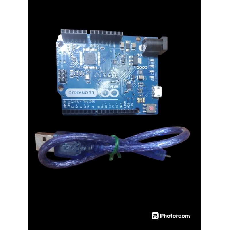 ARDUION LEONARDO Local