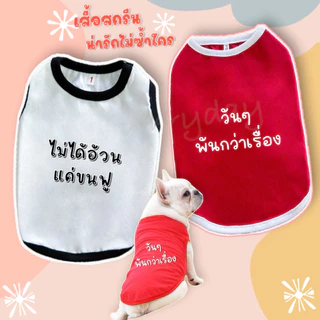 🔥ส่งฟรี TH🔥🐶🐱เสื้อสัตว์เลี้ยง สกรีนคำกวนๆ ชุดน้องหมา น้องแมว🦄