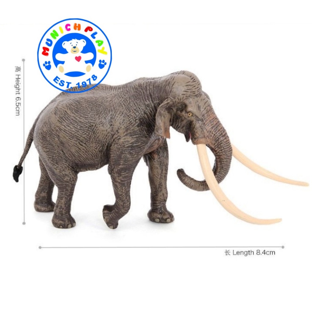 Munich Play โมเดลสัตว์ Elephant ช้าง เอเชีย ขนาด 23.20 CM (จากหาดใหญ่) ราคา ถูกที่สุด ดีลบีเคเค แกลเลอรีภาพที่ 6