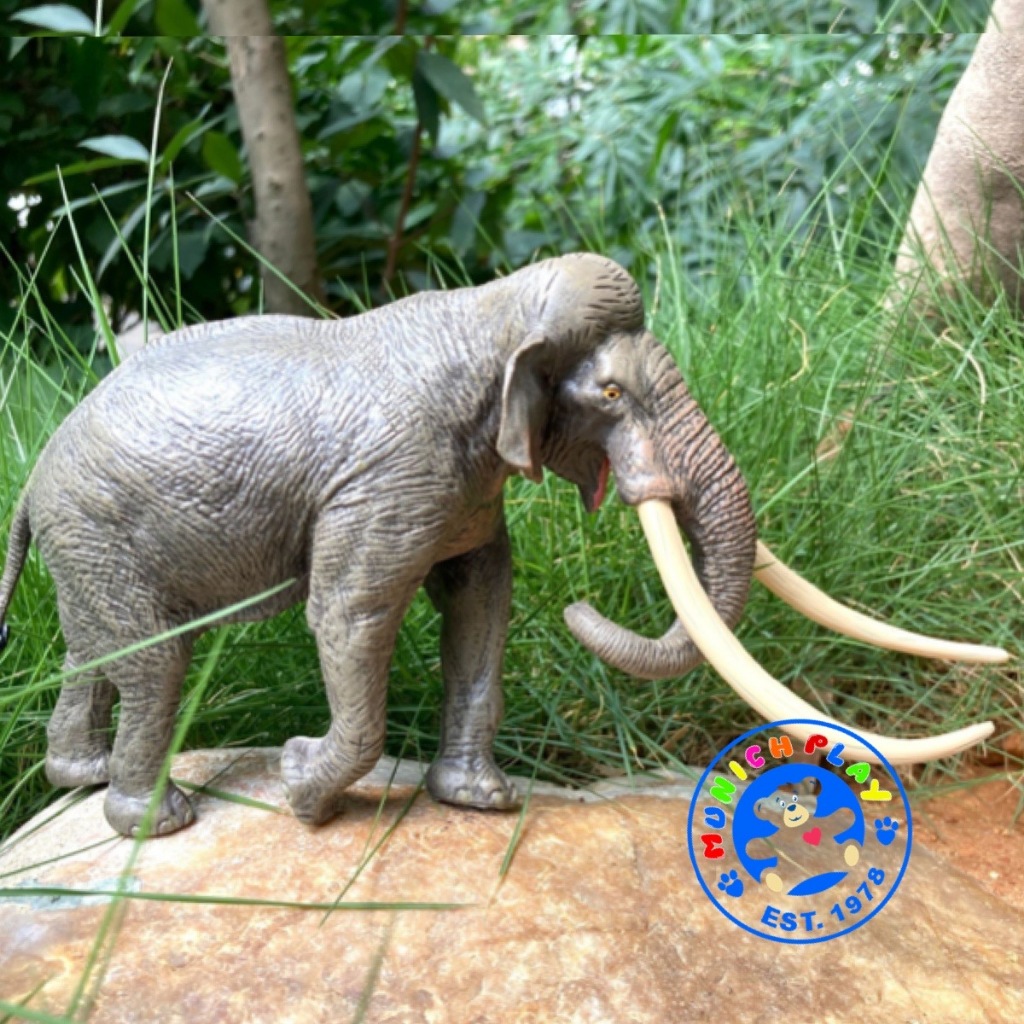 Munich Play โมเดลสัตว์ Elephant ช้าง เอเชีย ขนาด 23.20 CM (จากหาดใหญ่) ราคา ถูกที่สุด ดีลบีเคเค แกลเลอรีภาพที่ 7