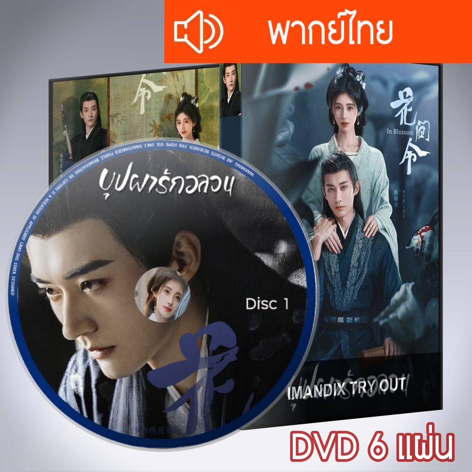 ซีรี่ส์จีน บุปผารักอลวน In Blossom DVD 6 แผ่น พากย์ไทย