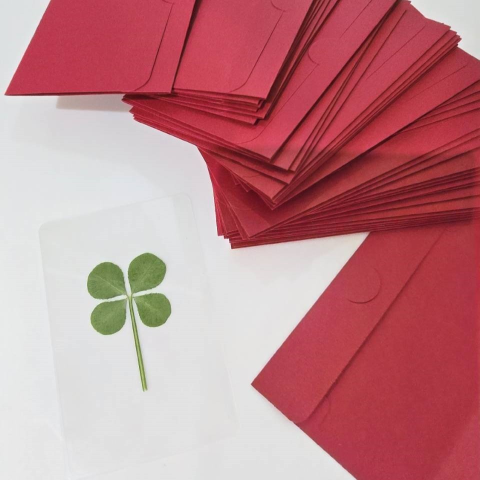 ( พร้อมส่ง ) ใบโคลเวอร์ 4 แฉก (Leaf Clover) หิ้วเองจากคุณลุง ที่ฮงแด ซื้อ 5 แถม 1