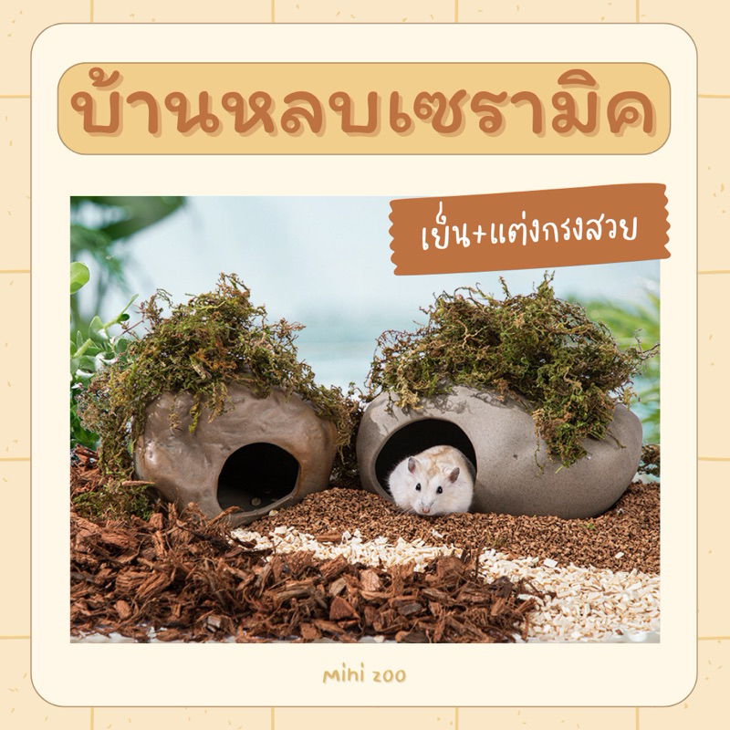 (พร้อมส่ง) บ้านแฮมสเตอร์ บ้านหินเซรามิค บ้านหลบแฮมสเตอร์ ของแต่งกรง สไตล์ธรรมชาติ บ้านหินเซรามิค