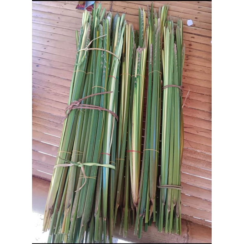 ยอดใบกะพ้อใบพ้อข้าวต้มใบพ้อ10ยอด