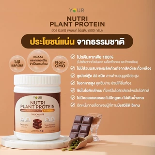 (ของแถมทุกออเดอร์) YOUR Nutri Plant Protein รสช็อคโกแล็ต และ รสธรรมชาติ ยัวร์นิวทริแพลนท์โปรตีน โปรตีนจากพืช ขนาด 500 ก.