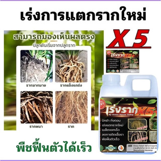 น้ำยาเร่งรากด่วนx5 ปริมาณ 1 ลิตร เร่งโต รากเดิน บำรุงดิน ธรร…