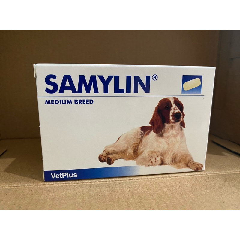 Samylin Medium Breed Tablets (exp.01/27) แท้💯 ฉลากไทย🇹🇭 🚩อาหารเสริมโปรตีน สุนัขพันธุ์กลางชนิดเม็ด  1