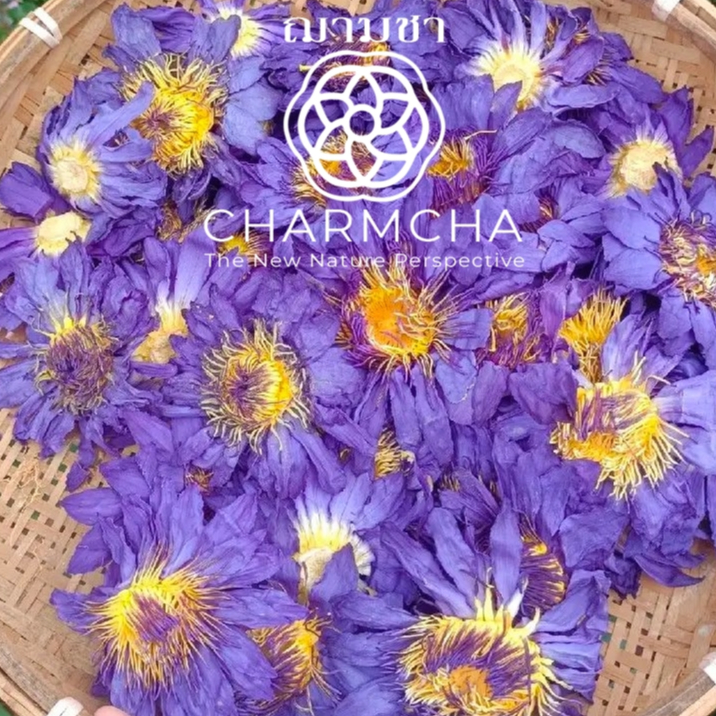 ชาดอกบัวน้ำเงิน (Lady Blue lotus Tea) พรีเมี่ยม หอม ผ่อนคลายมีประโยชน์มากมาย บำรุงร่างกาย บัวสาย ไทย ฌามชา Charmcha