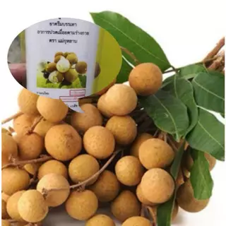 ครีมนวดสารสกัดเมล็ดลำไย ครีมลำไย - แแม่..กุหลาบ ของแท้ 120 กรัม