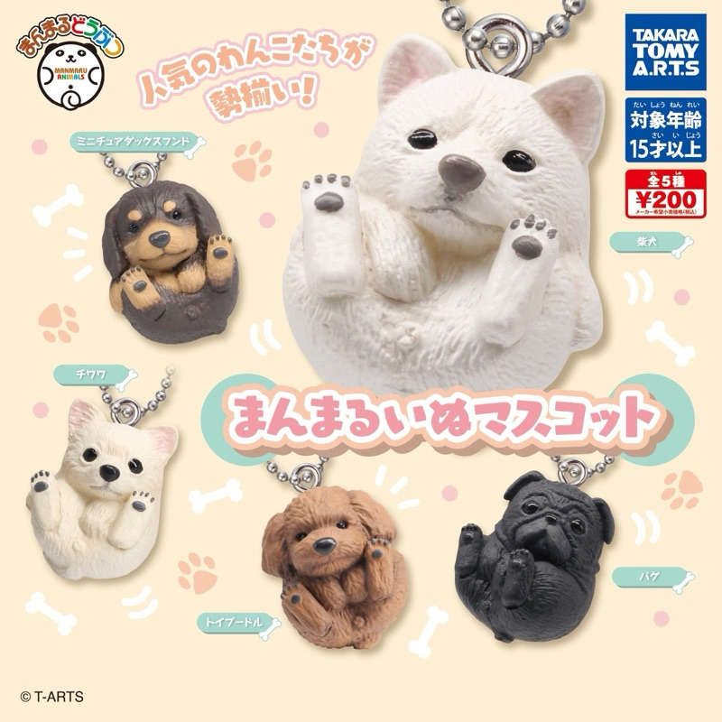 กาชาปองพวงกุญแจน้องหมากำลังจะตกลงมา!! Marumaru Animal Mascot gashapon